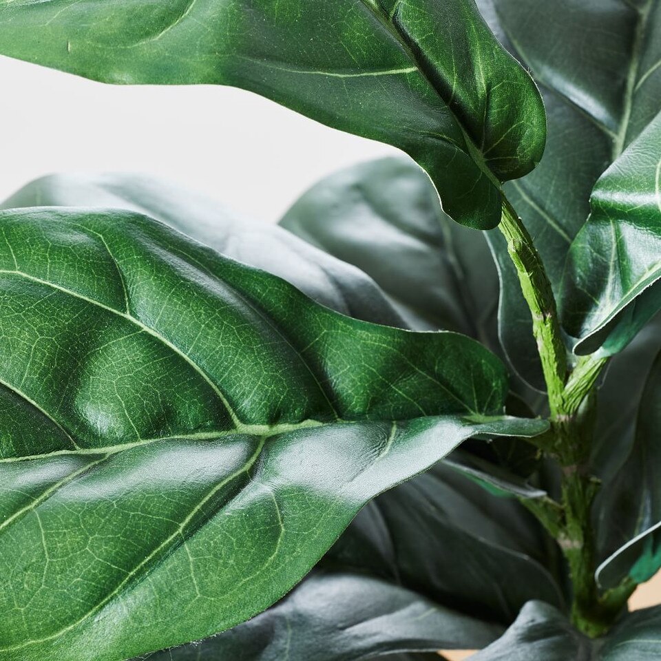Faux Potted Fiddle Leaf Fig 2' West Elm UK